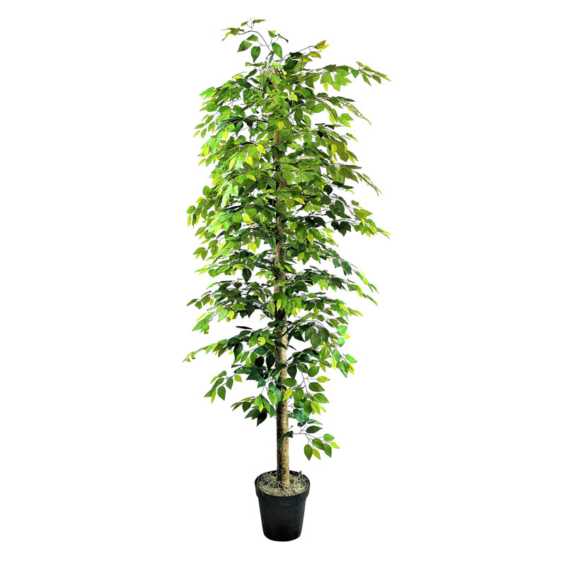 Primrue 120'' Faux Ficus Tree in Pot & Reviews Wayfair